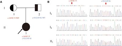 Limb girdle muscular dystrophy 23 caused by compound heterozygous mutations of LAMA2 gene